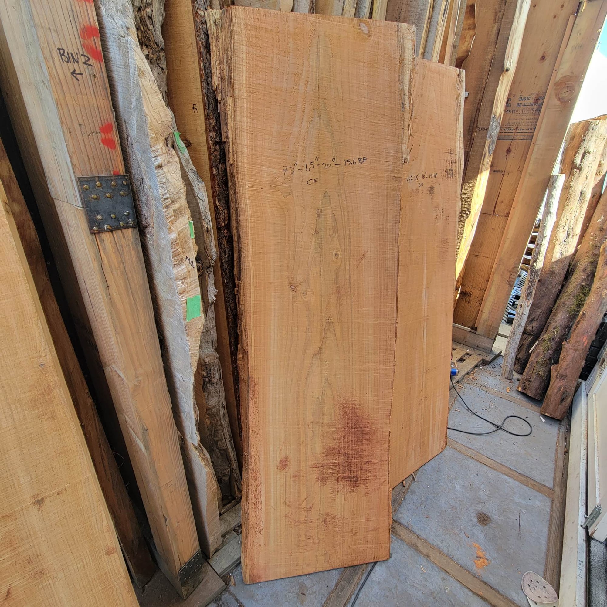 Western Red Cedar